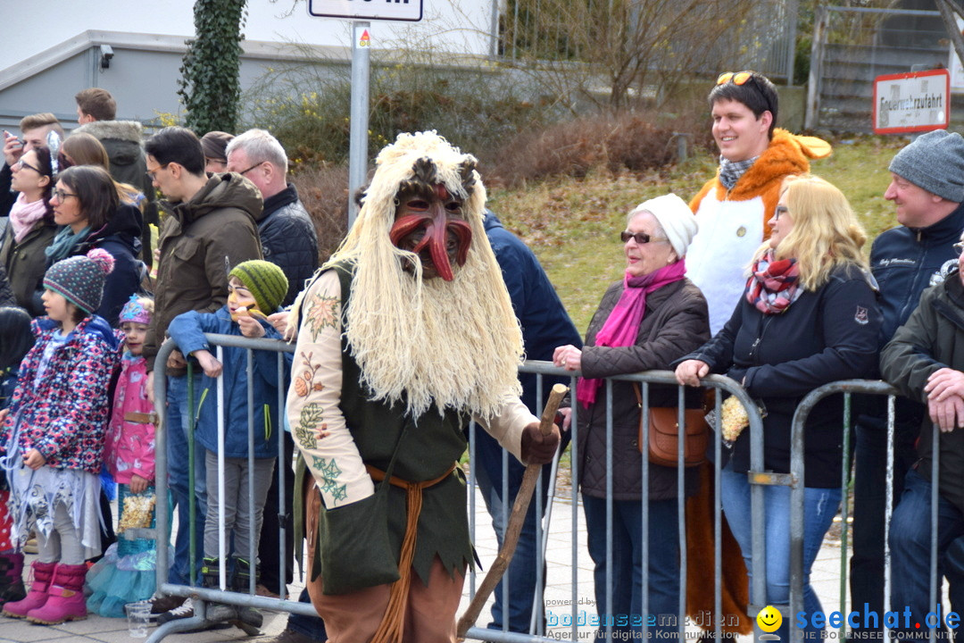 Grosser Narrensprung: Friedrichshafen am Bodensee, 02.03.2019