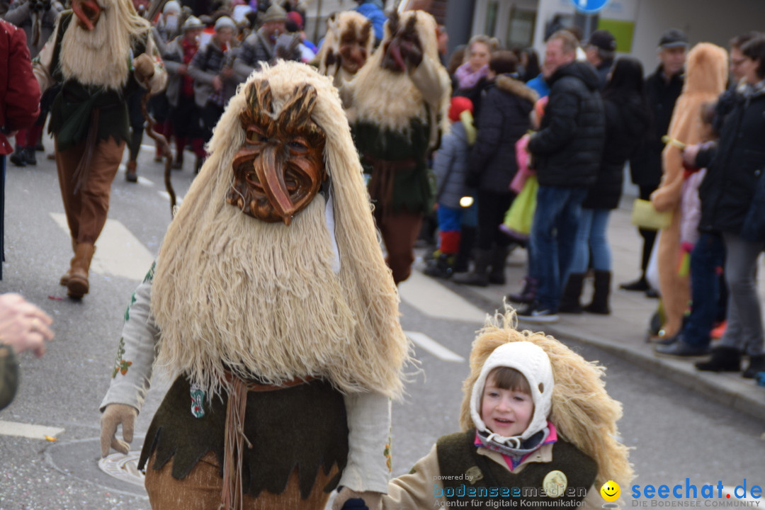 Grosser Narrensprung: Friedrichshafen am Bodensee, 02.03.2019