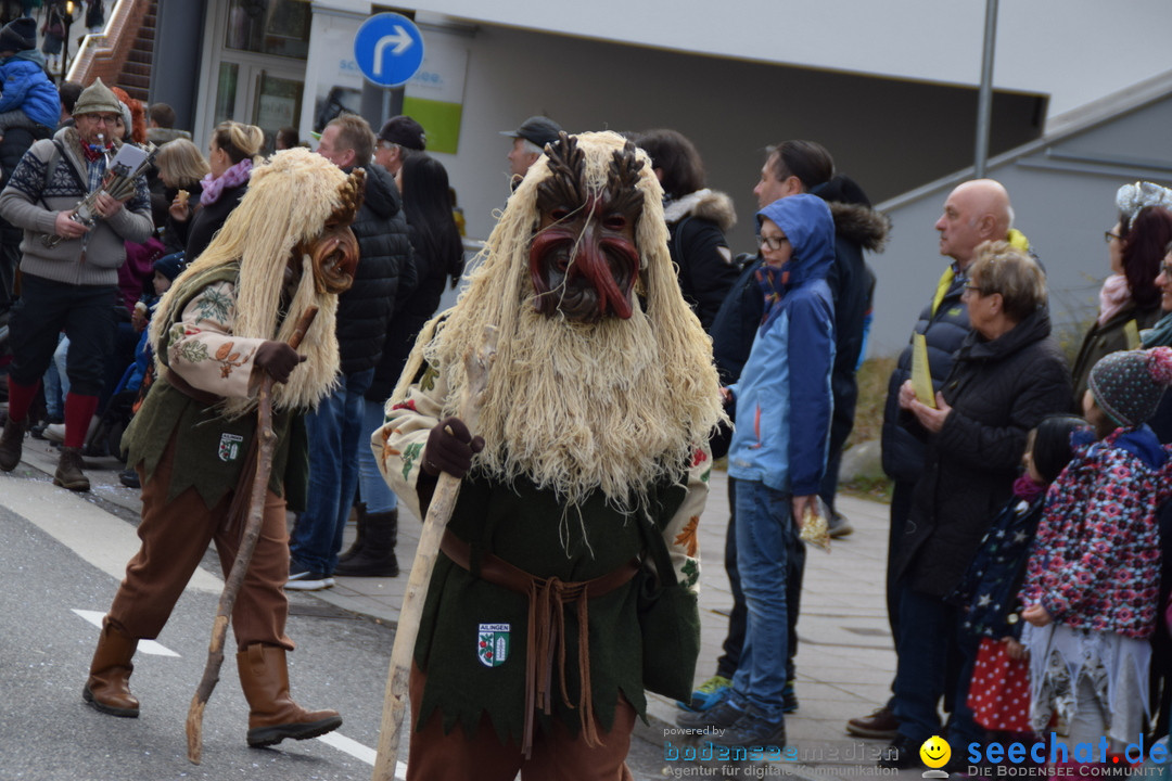 Grosser Narrensprung: Friedrichshafen am Bodensee, 02.03.2019