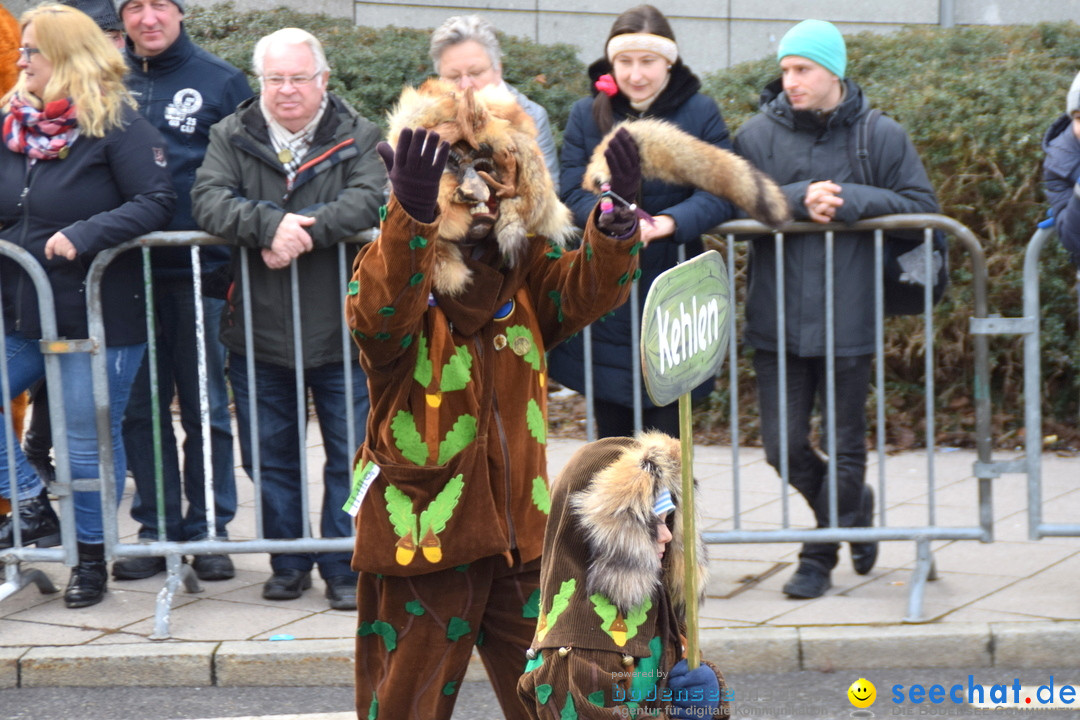 Grosser Narrensprung: Friedrichshafen am Bodensee, 02.03.2019