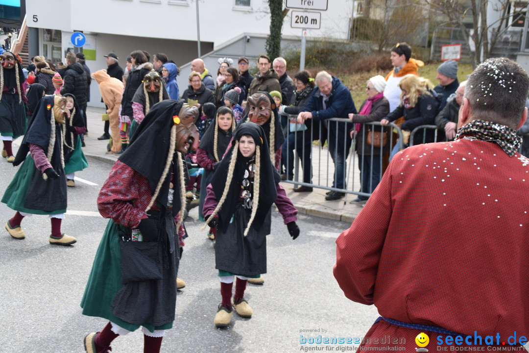 Grosser Narrensprung: Friedrichshafen am Bodensee, 02.03.2019