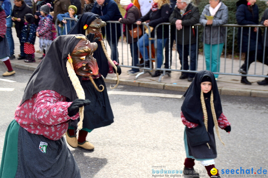 Grosser Narrensprung: Friedrichshafen am Bodensee, 02.03.2019