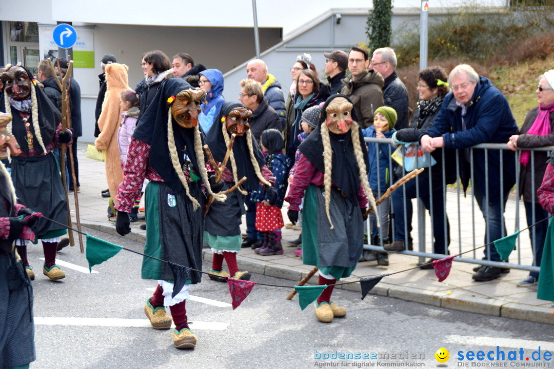 Grosser Narrensprung: Friedrichshafen am Bodensee, 02.03.2019