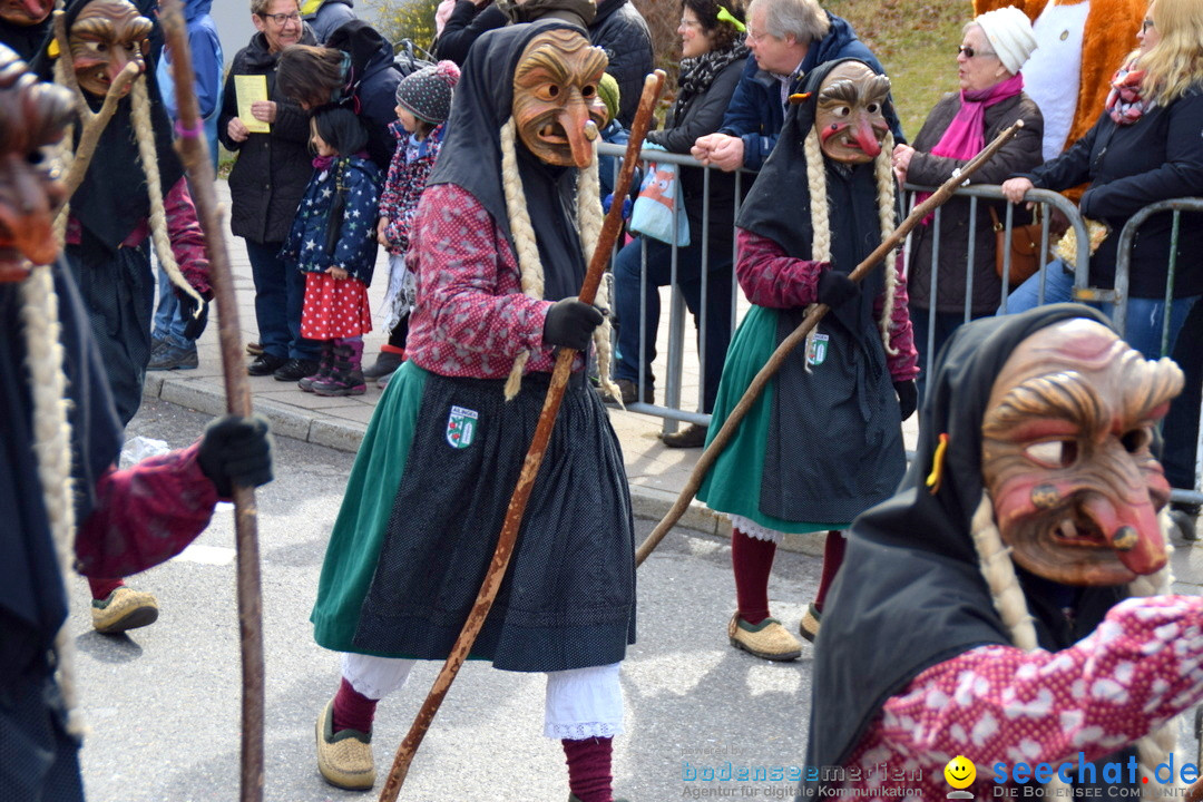 Grosser Narrensprung: Friedrichshafen am Bodensee, 02.03.2019