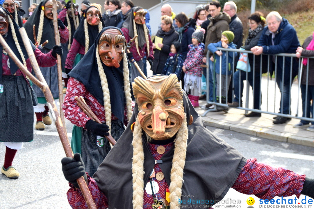 Grosser Narrensprung: Friedrichshafen am Bodensee, 02.03.2019