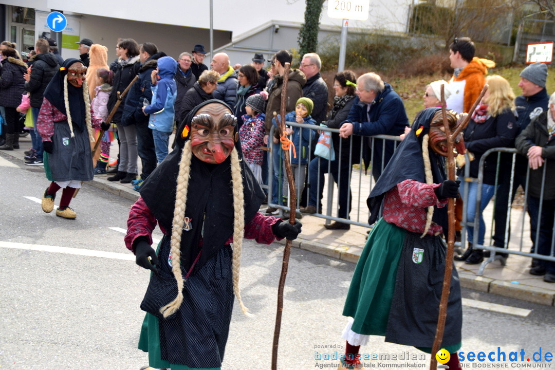 Grosser Narrensprung: Friedrichshafen am Bodensee, 02.03.2019