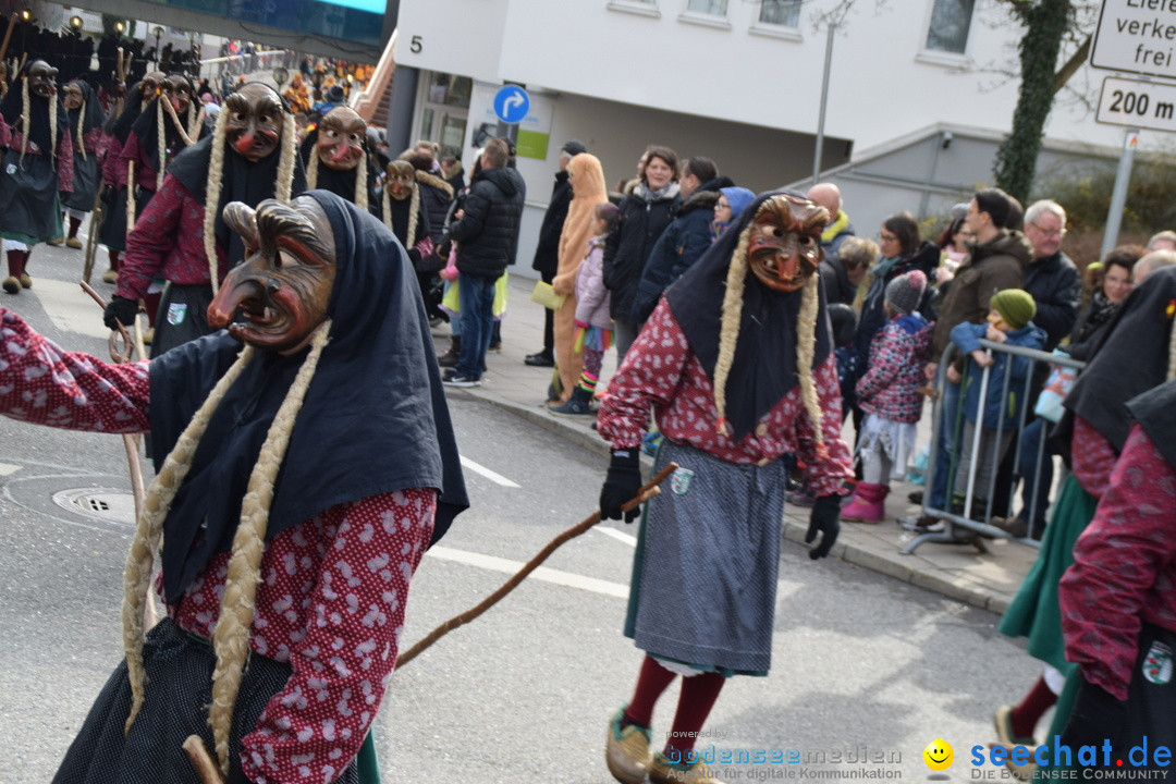 Grosser Narrensprung: Friedrichshafen am Bodensee, 02.03.2019