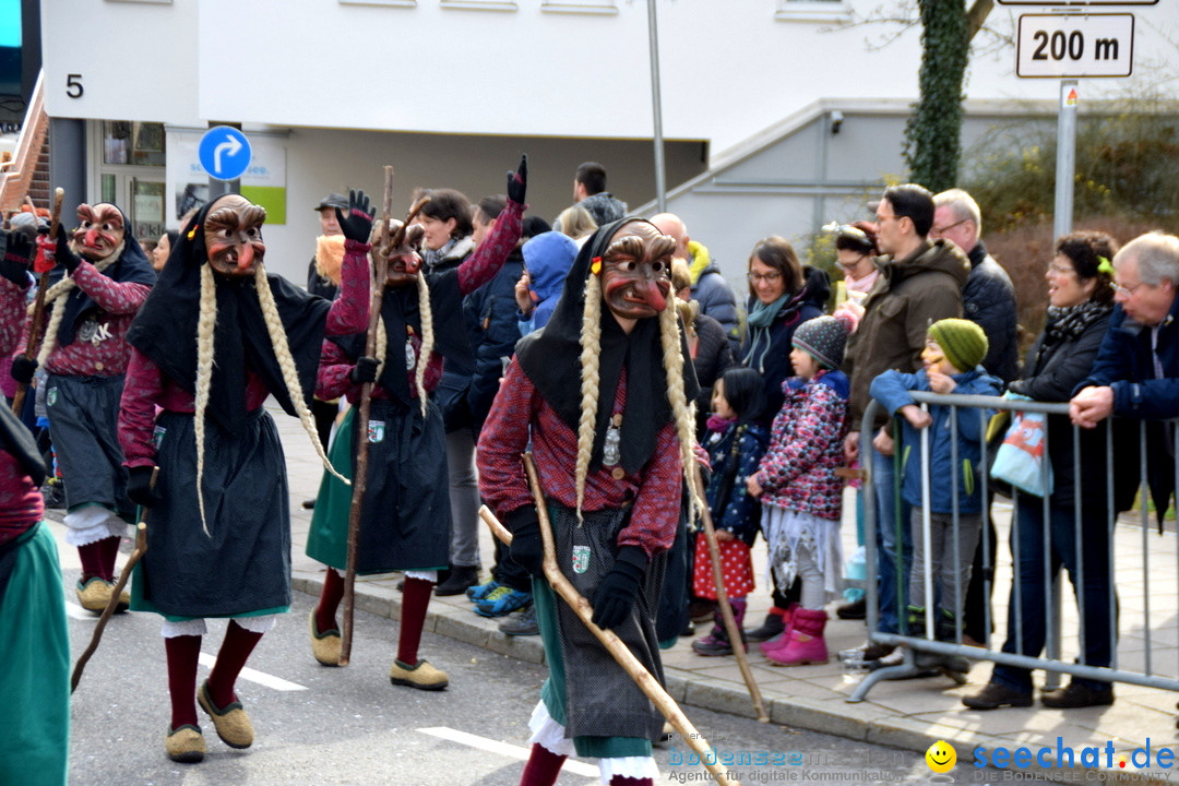 Grosser Narrensprung: Friedrichshafen am Bodensee, 02.03.2019