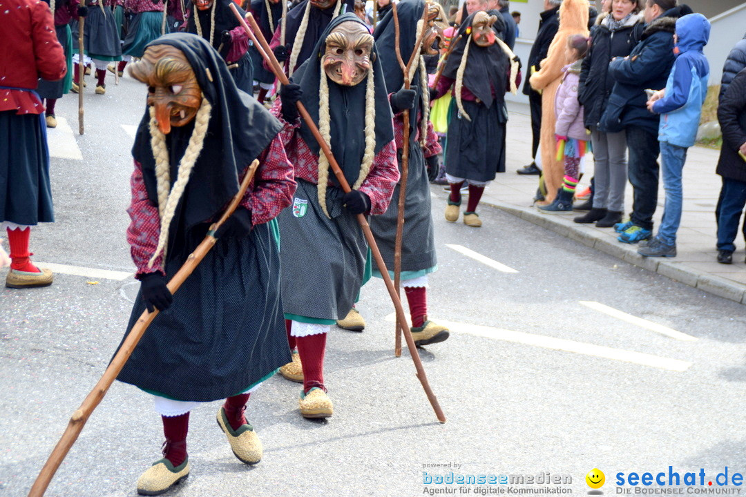 Grosser Narrensprung: Friedrichshafen am Bodensee, 02.03.2019