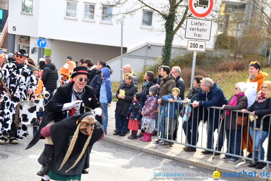 Grosser Narrensprung: Friedrichshafen am Bodensee, 02.03.2019