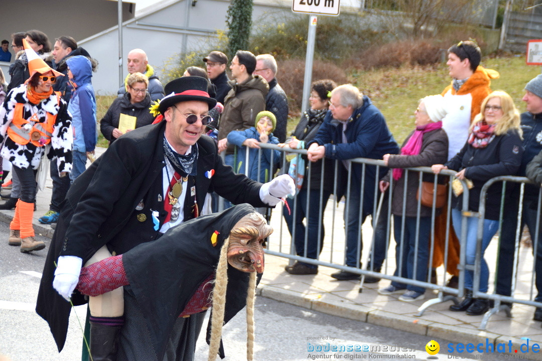 Grosser Narrensprung: Friedrichshafen am Bodensee, 02.03.2019