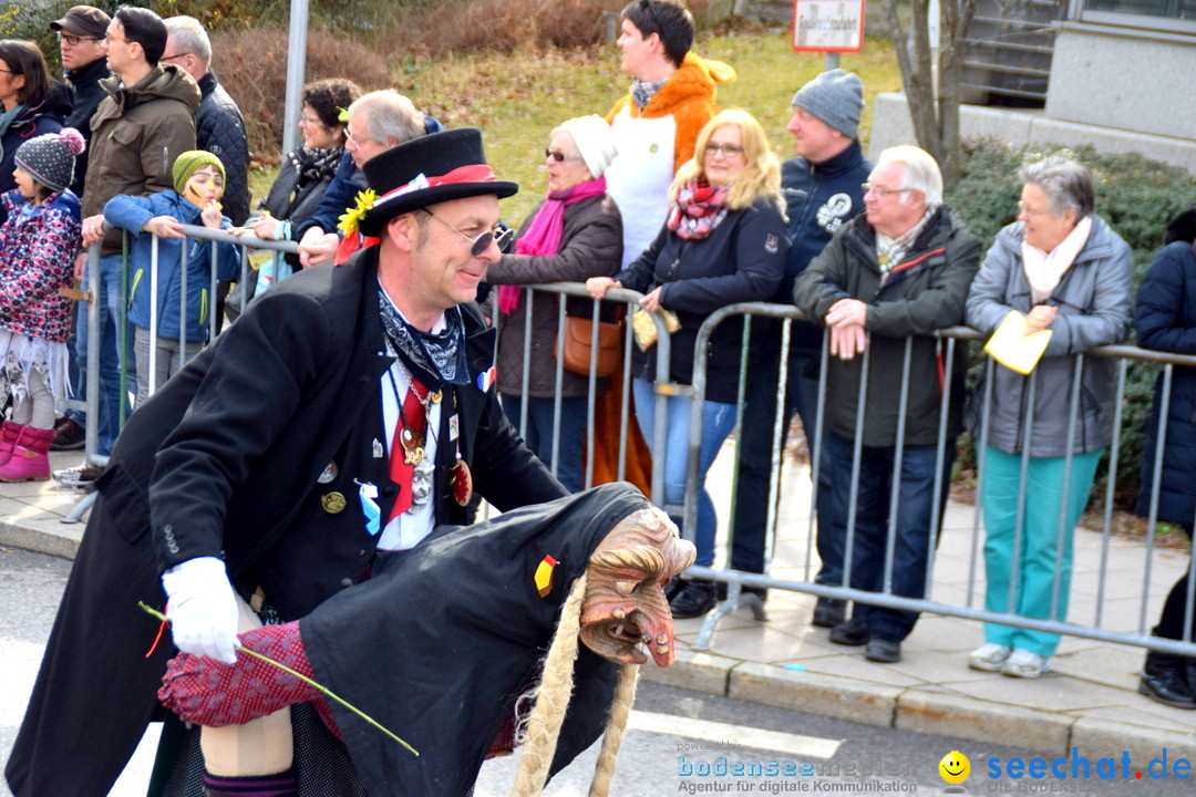 Grosser Narrensprung: Friedrichshafen am Bodensee, 02.03.2019