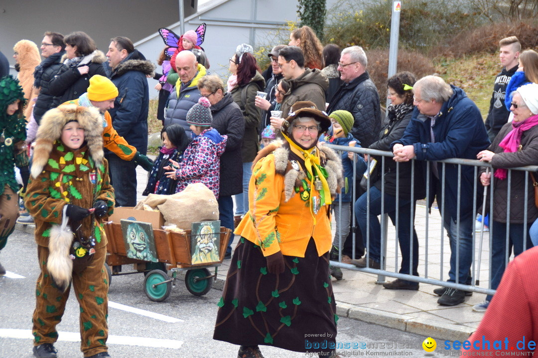 Grosser Narrensprung: Friedrichshafen am Bodensee, 02.03.2019