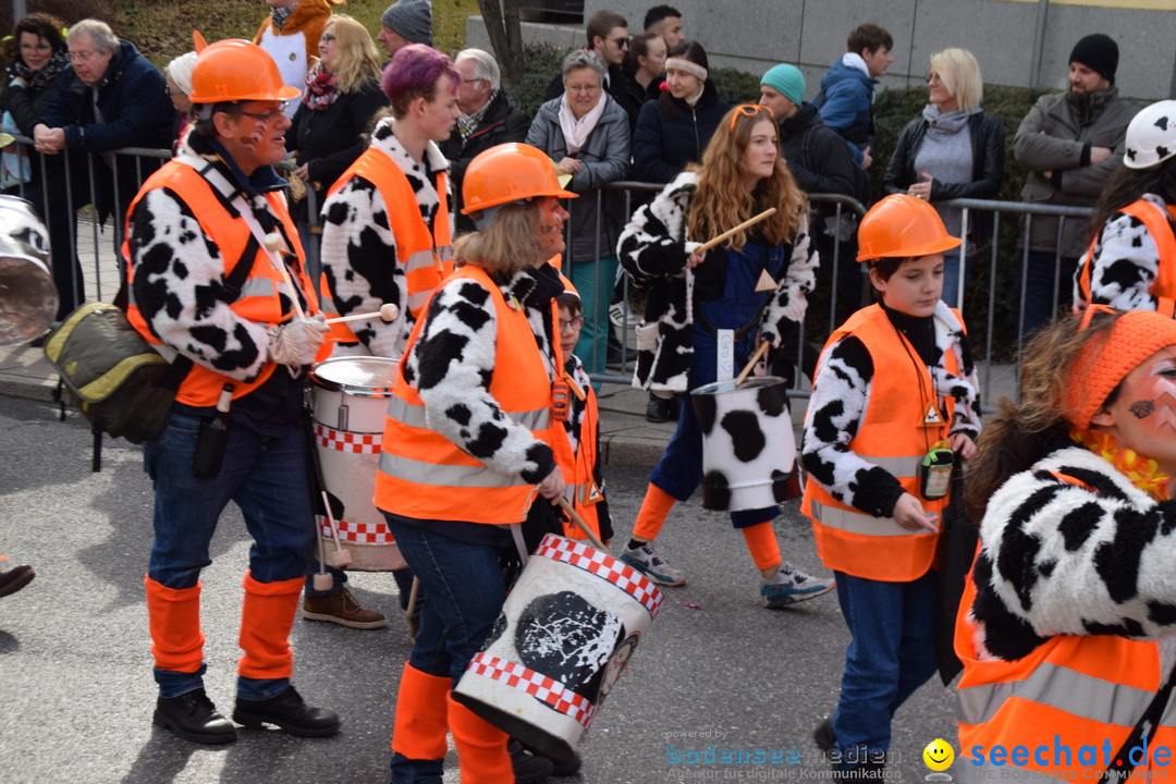 Grosser Narrensprung: Friedrichshafen am Bodensee, 02.03.2019