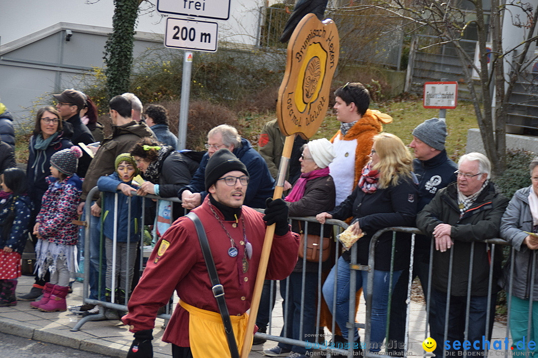 Grosser Narrensprung: Friedrichshafen am Bodensee, 02.03.2019