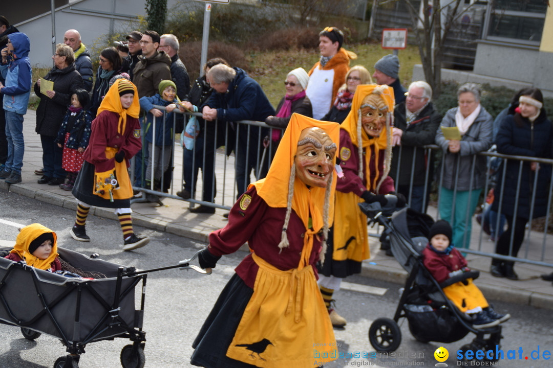 Grosser Narrensprung: Friedrichshafen am Bodensee, 02.03.2019