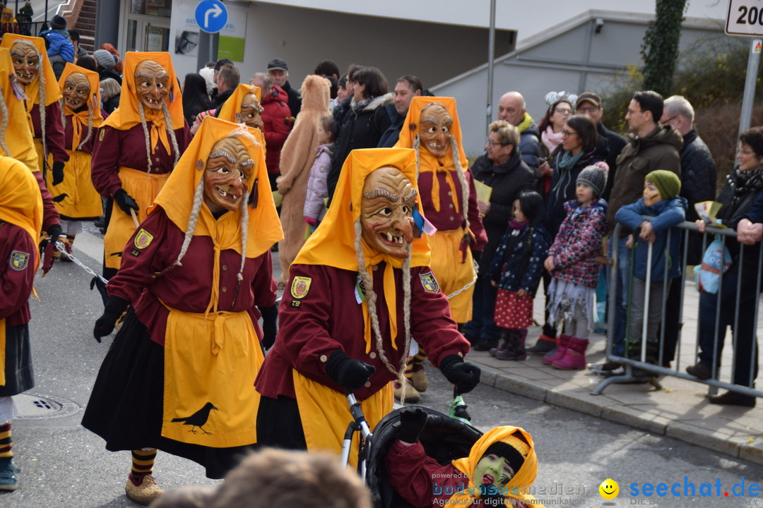 Grosser Narrensprung: Friedrichshafen am Bodensee, 02.03.2019