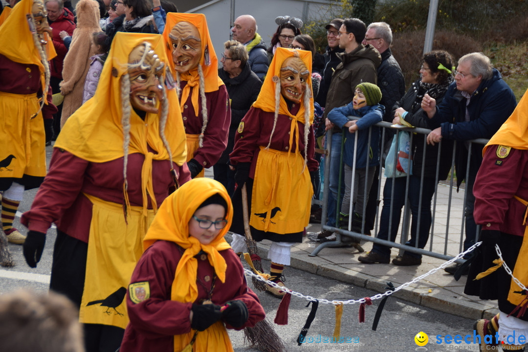 Grosser Narrensprung: Friedrichshafen am Bodensee, 02.03.2019