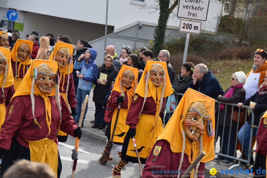 Grosser Narrensprung: Friedrichshafen am Bodensee, 02.03.2019