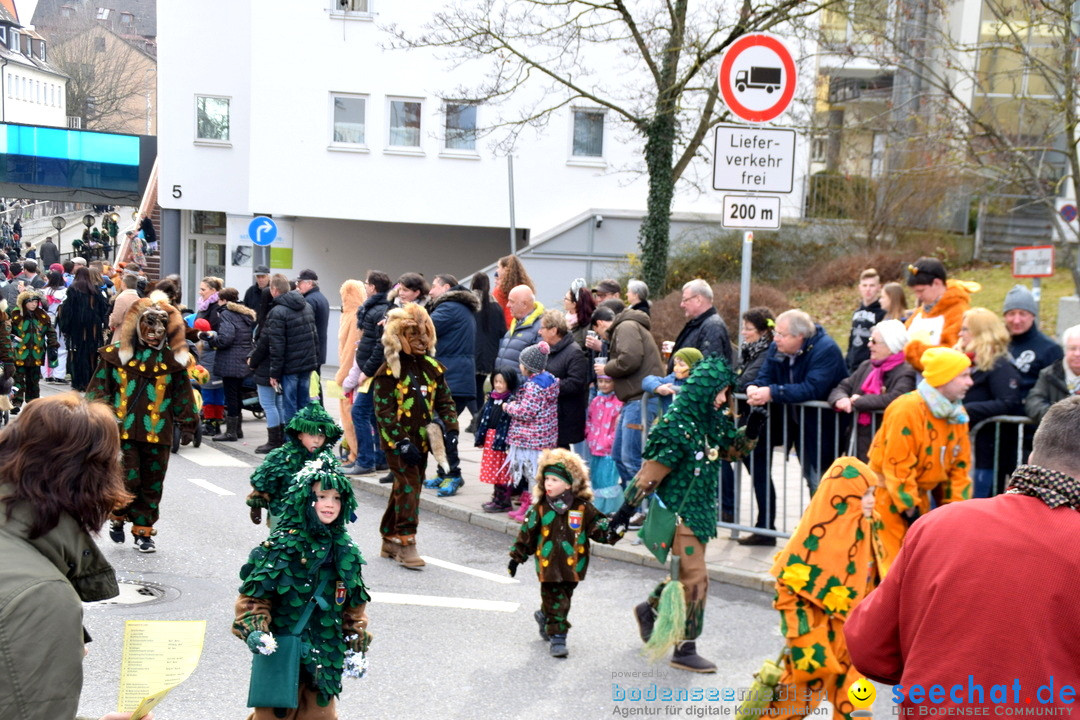 Grosser Narrensprung: Friedrichshafen am Bodensee, 02.03.2019