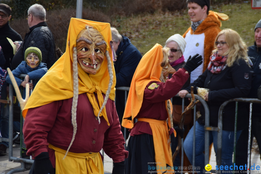 Grosser Narrensprung: Friedrichshafen am Bodensee, 02.03.2019