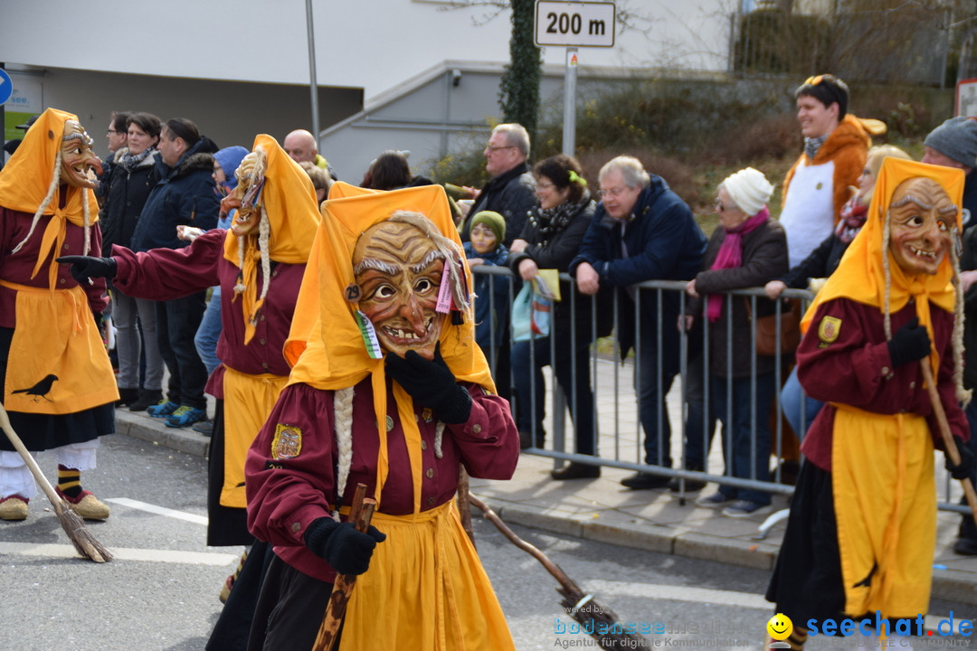 Grosser Narrensprung: Friedrichshafen am Bodensee, 02.03.2019