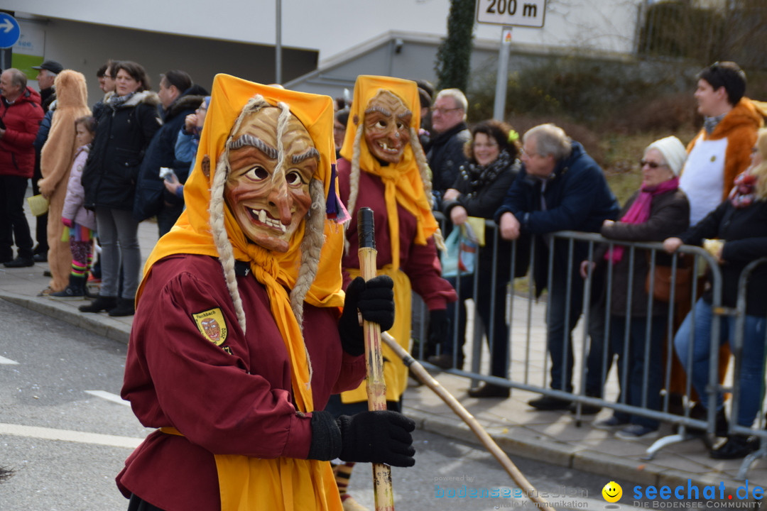 Grosser Narrensprung: Friedrichshafen am Bodensee, 02.03.2019