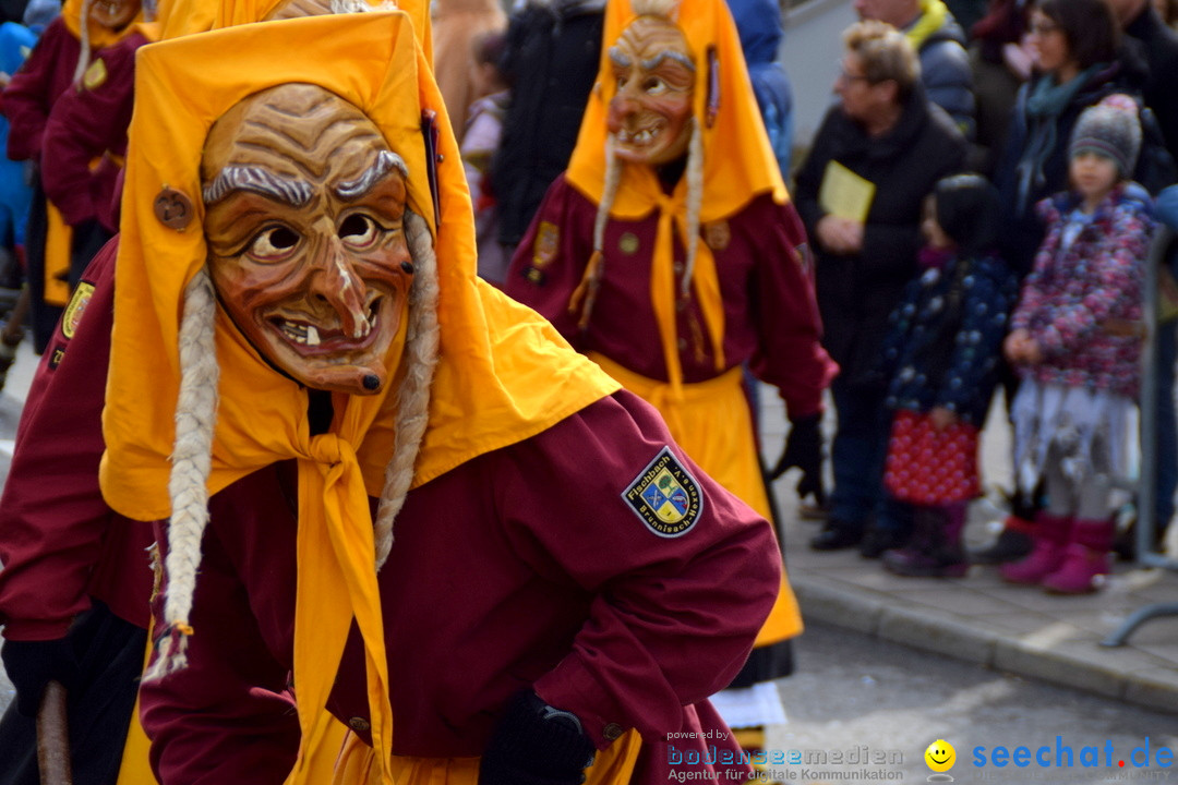 Grosser Narrensprung: Friedrichshafen am Bodensee, 02.03.2019