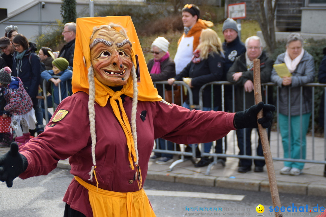 Grosser Narrensprung: Friedrichshafen am Bodensee, 02.03.2019