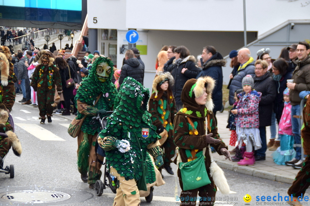 Grosser Narrensprung: Friedrichshafen am Bodensee, 02.03.2019