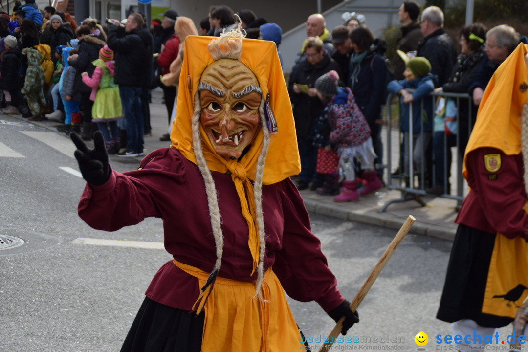 Grosser Narrensprung: Friedrichshafen am Bodensee, 02.03.2019