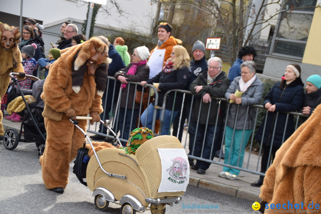 Grosser Narrensprung: Friedrichshafen am Bodensee, 02.03.2019