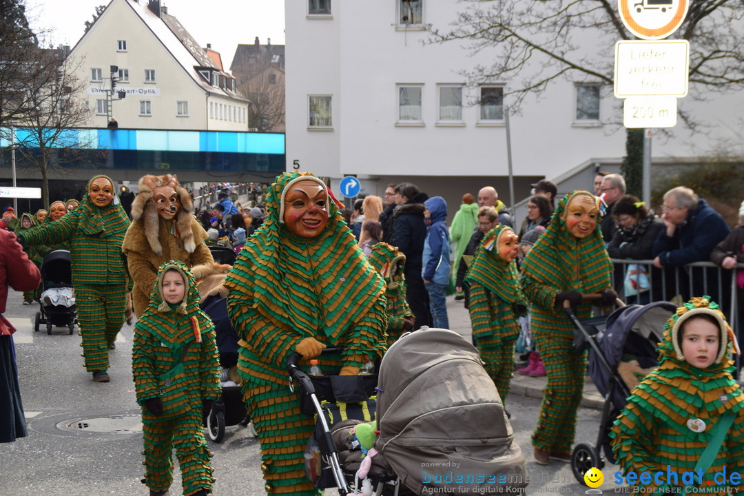 Grosser Narrensprung: Friedrichshafen am Bodensee, 02.03.2019