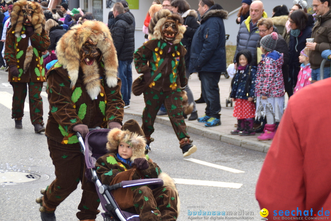 Grosser Narrensprung: Friedrichshafen am Bodensee, 02.03.2019