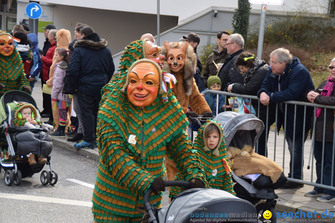 Grosser Narrensprung: Friedrichshafen am Bodensee, 02.03.2019