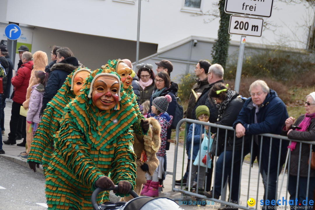 Grosser Narrensprung: Friedrichshafen am Bodensee, 02.03.2019