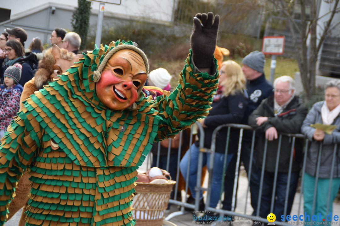 Grosser Narrensprung: Friedrichshafen am Bodensee, 02.03.2019