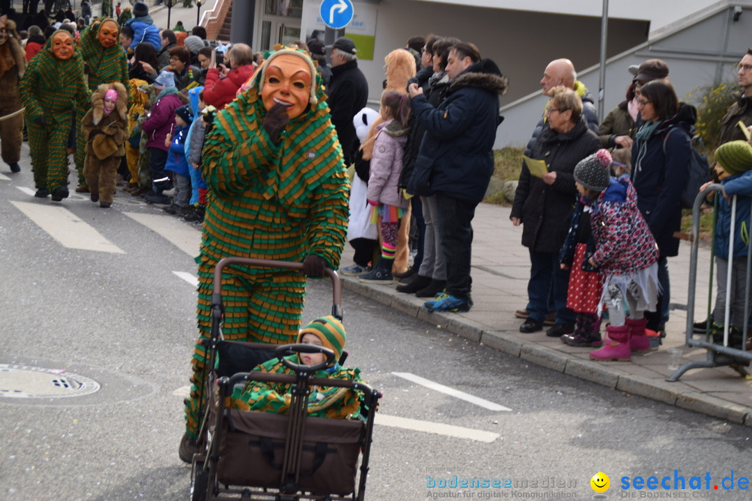 Grosser Narrensprung: Friedrichshafen am Bodensee, 02.03.2019