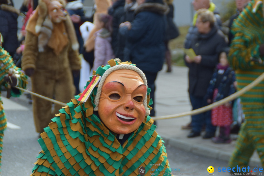 Grosser Narrensprung: Friedrichshafen am Bodensee, 02.03.2019