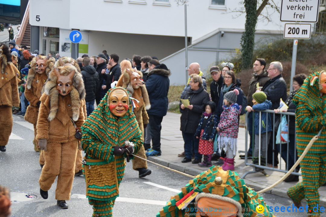 Grosser Narrensprung: Friedrichshafen am Bodensee, 02.03.2019