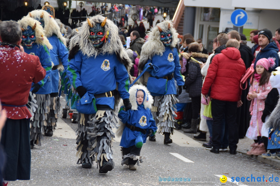 Grosser Narrensprung: Friedrichshafen am Bodensee, 02.03.2019