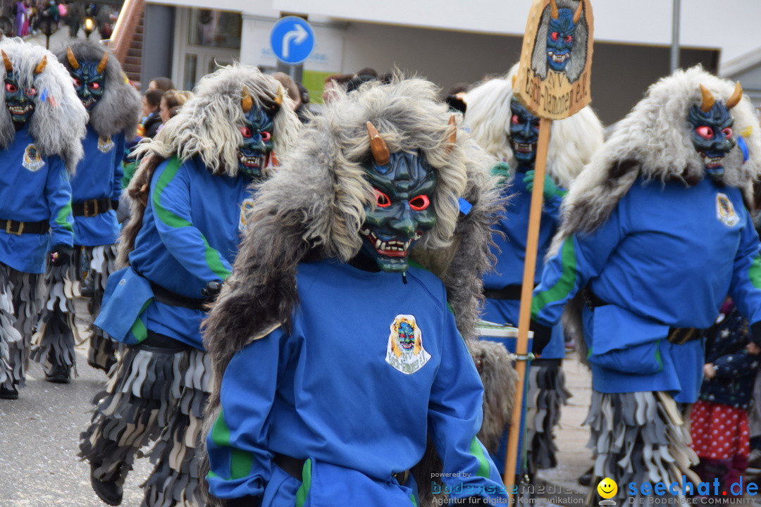 Grosser Narrensprung: Friedrichshafen am Bodensee, 02.03.2019