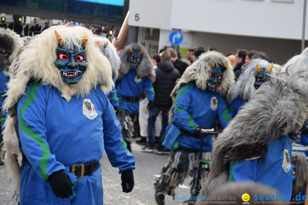 Grosser Narrensprung: Friedrichshafen am Bodensee, 02.03.2019