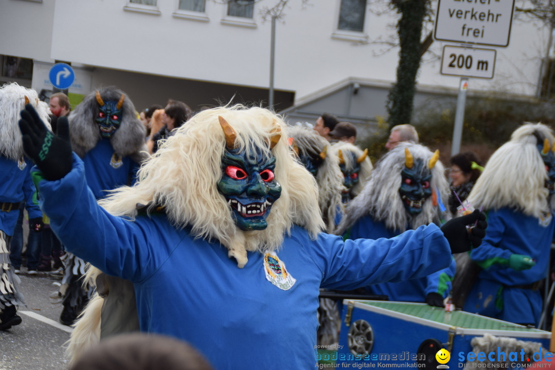 Grosser Narrensprung: Friedrichshafen am Bodensee, 02.03.2019