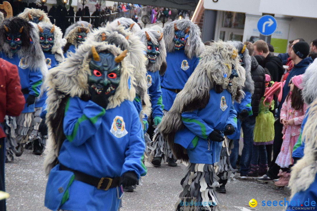 Grosser Narrensprung: Friedrichshafen am Bodensee, 02.03.2019