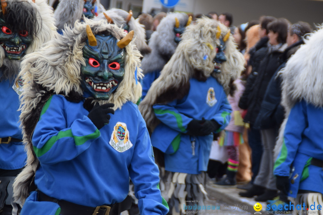 Grosser Narrensprung: Friedrichshafen am Bodensee, 02.03.2019