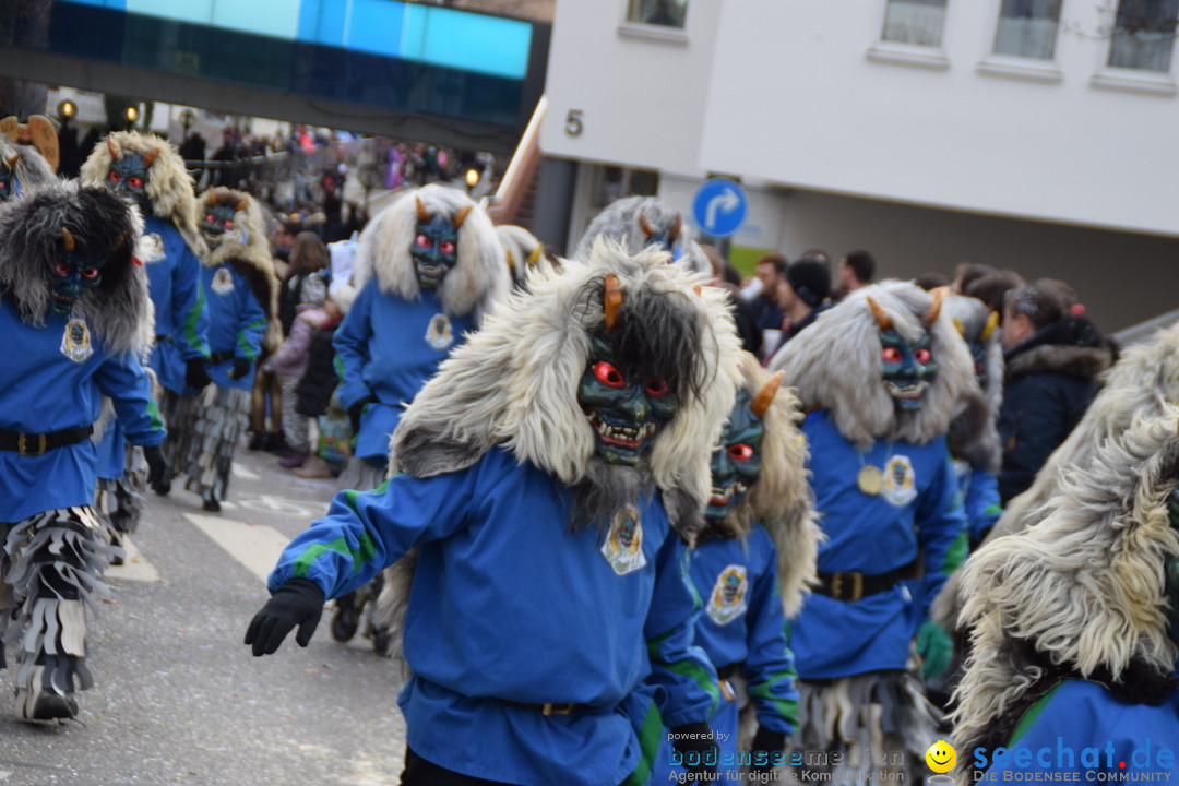 Grosser Narrensprung: Friedrichshafen am Bodensee, 02.03.2019