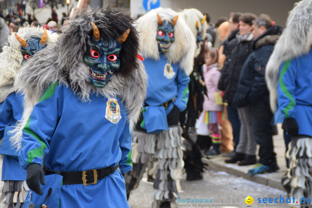 Grosser Narrensprung: Friedrichshafen am Bodensee, 02.03.2019