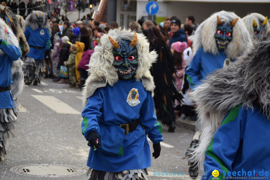 Grosser Narrensprung: Friedrichshafen am Bodensee, 02.03.2019