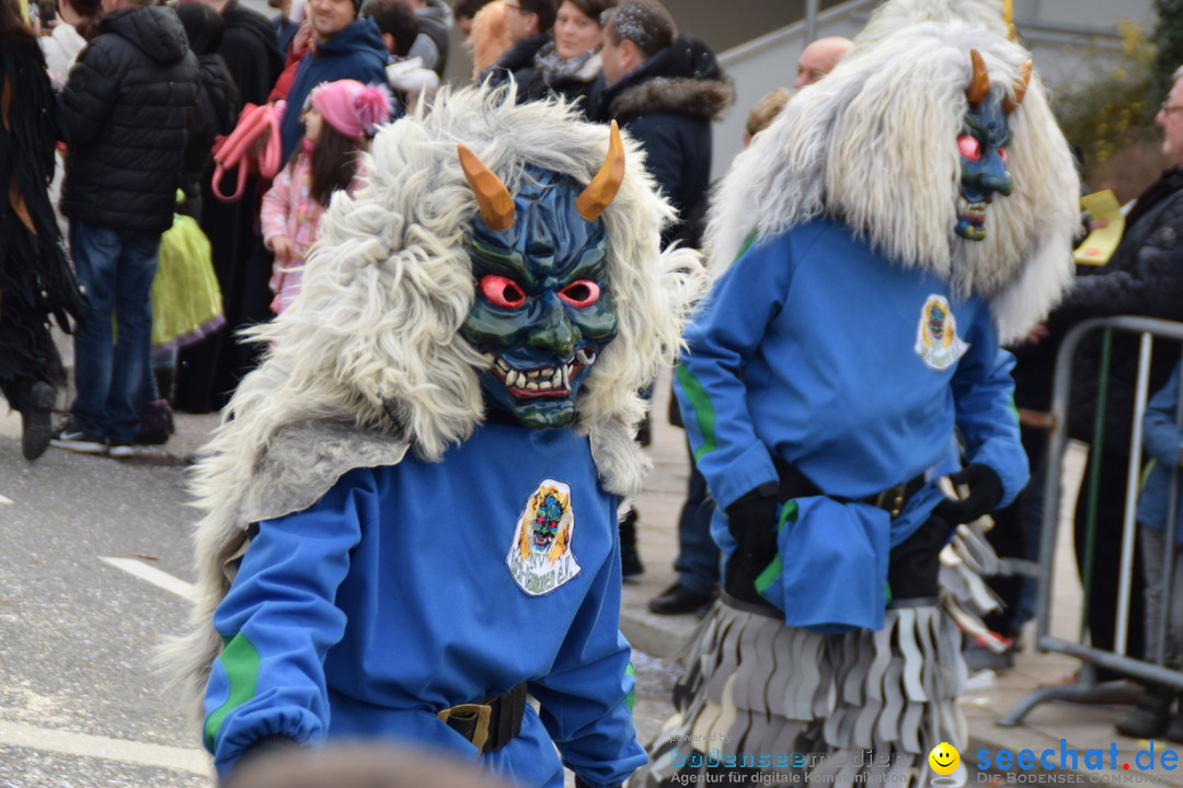 Grosser Narrensprung: Friedrichshafen am Bodensee, 02.03.2019